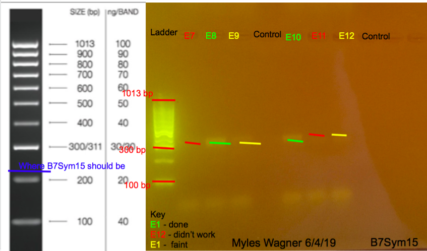 06-04-19_B7Sym15_Gel6