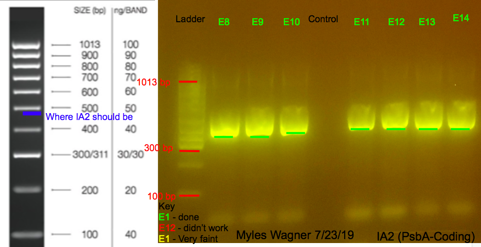 07-23-19_IA2_Gel2