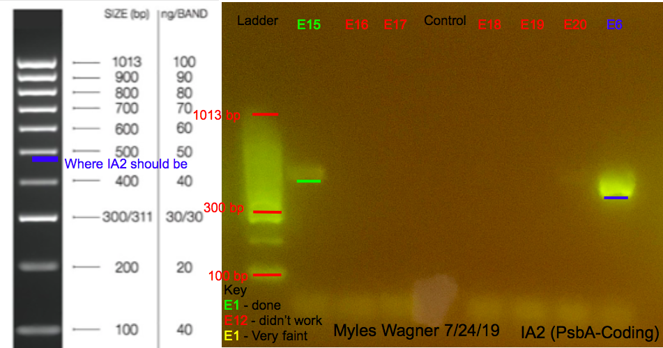 07-24-19_IA2_Gel1